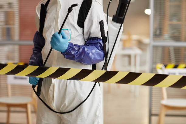 Professional Odor Removal technician working in Hampton, IL