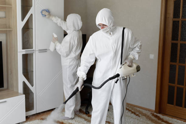 24/7 Emergency Odor Removal experts in Hampton, IL