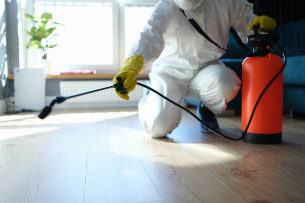 Reliable Odor Removal contractor in Hampton, IL by Crime Scene Cleaner Online